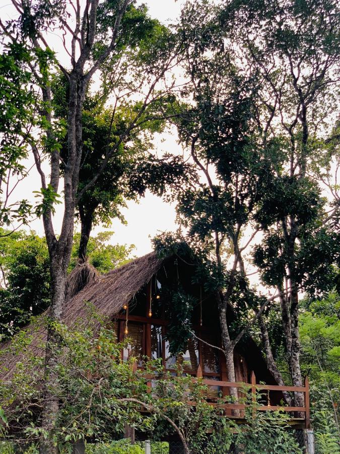 Kale Cottage Belihuloya Exteriér fotografie